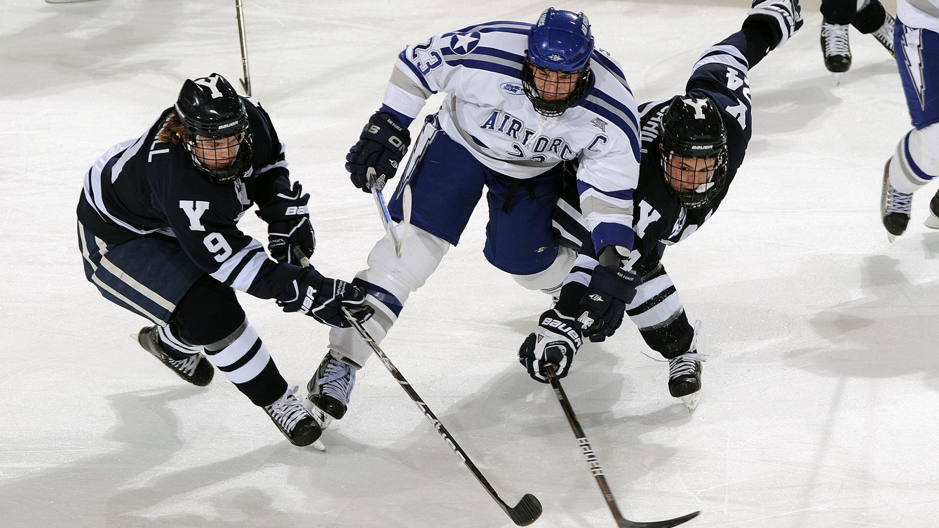 体育产业年度排行榜